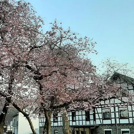 Vivanatura Eifelferienhaus