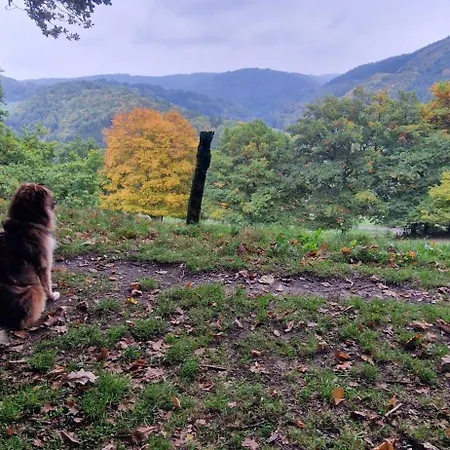 Vivanatura Eifelferienhaus Dom wakacyjny