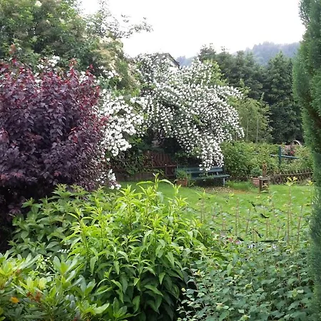 Vivanatura Eifelferienhaus Einruhr