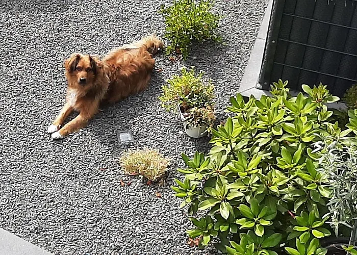 Сasa de vacaciones Vivanatura Eifelferienhaus *