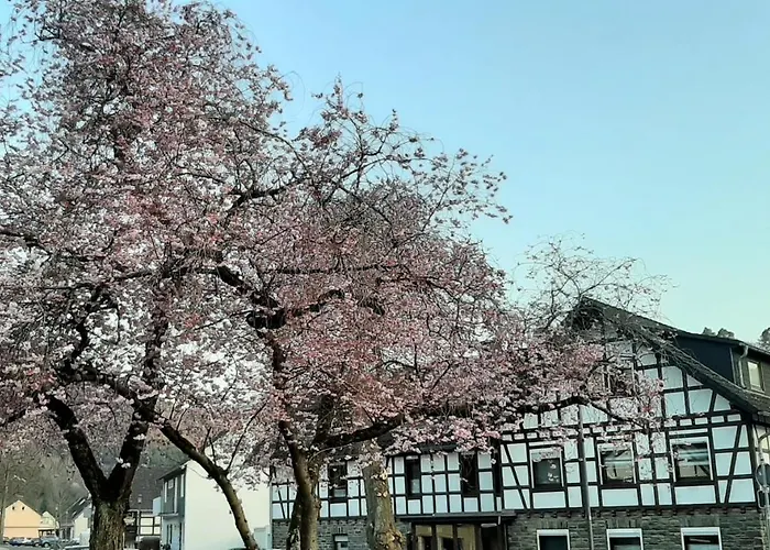 Vivanatura Eifelferienhaus