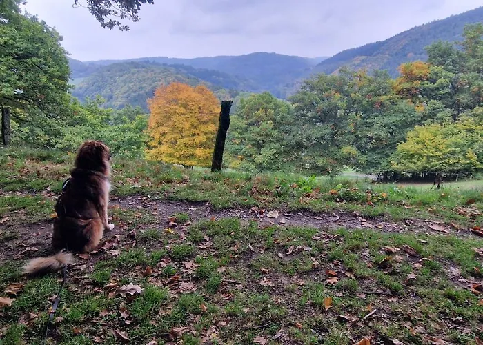 Vivanatura Eifelferienhaus Сasa de vacaciones