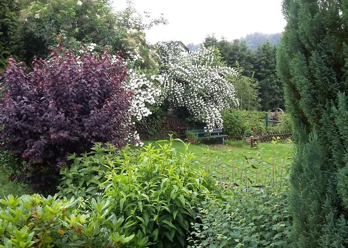 Vivanatura Eifelferienhaus Einruhr